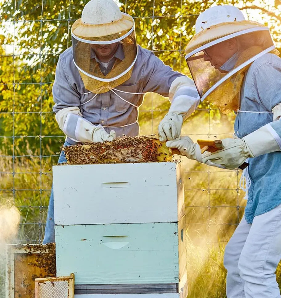 المنتجات الساخنة