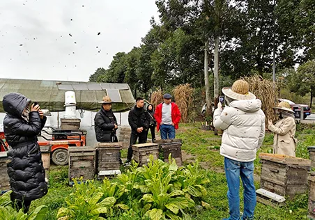 الموزع الروسي فيكتور يزور أبيبوز عن أشياء النحل