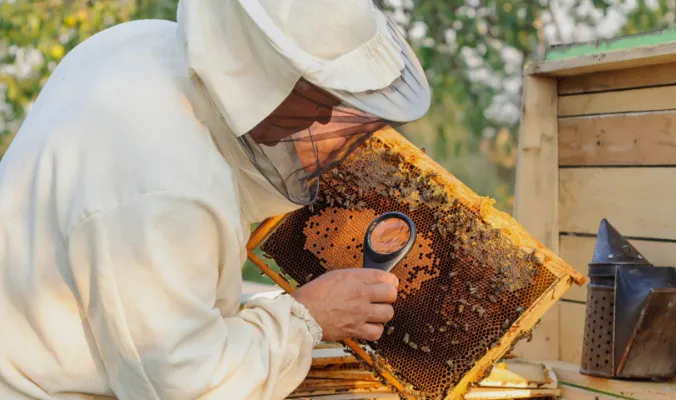 عتبة التحكم وخطة العلاج