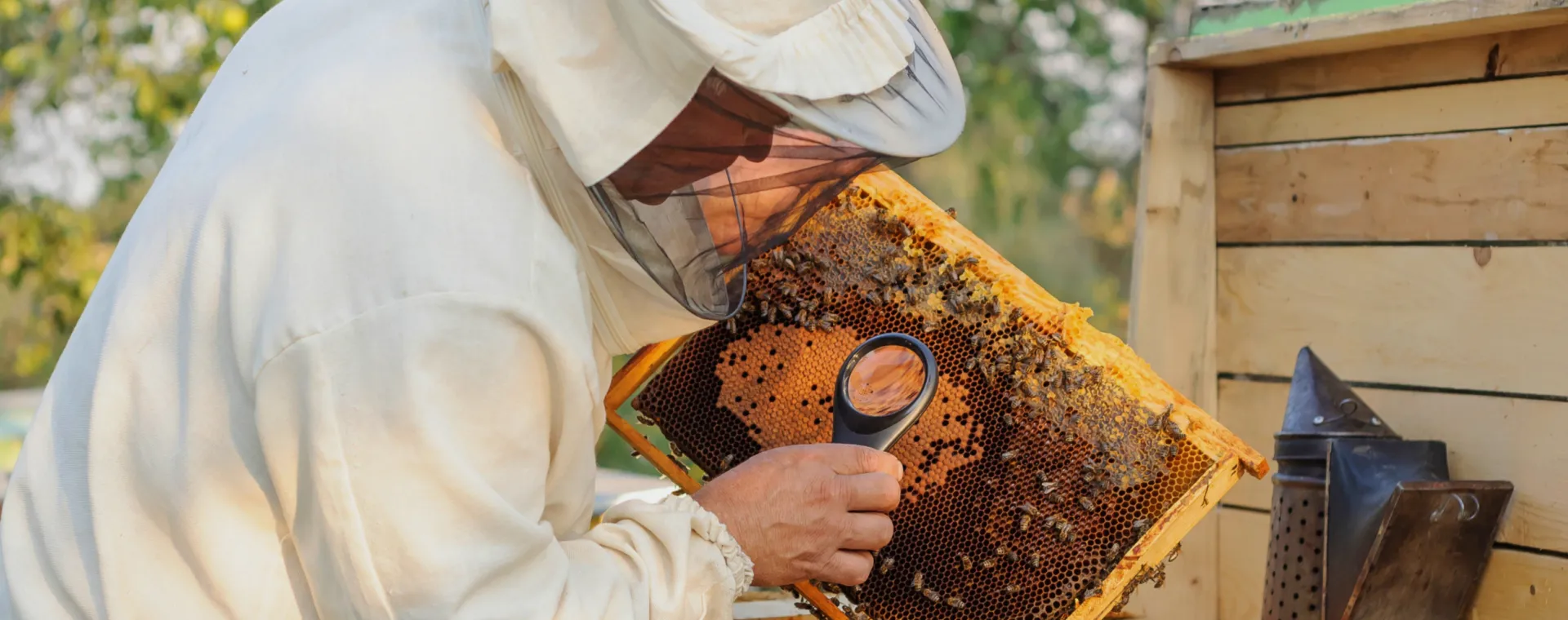 عتبة التحكم وخطة العلاج