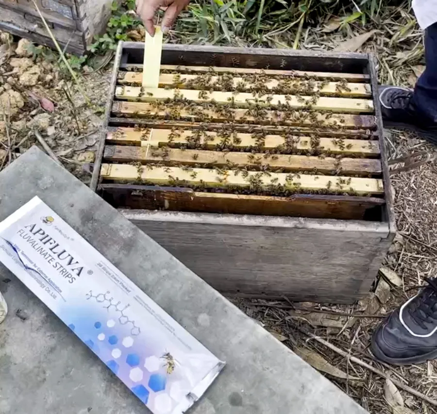 حلول مكافحة العث الخفيفة