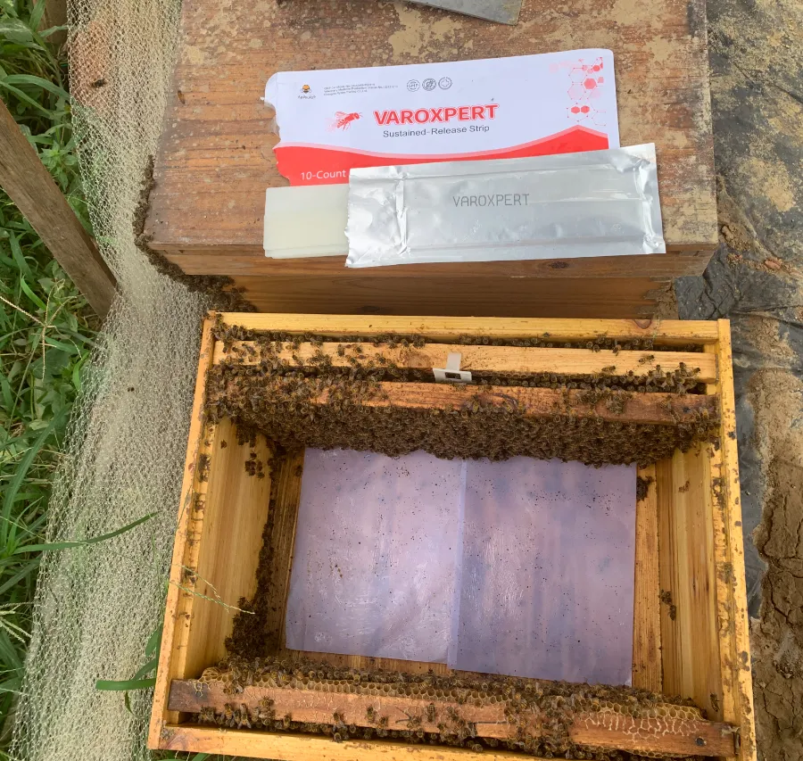 أنت بحاجة إلى فعالية طويلة الأمد وعلاج منخفض الاضطراب