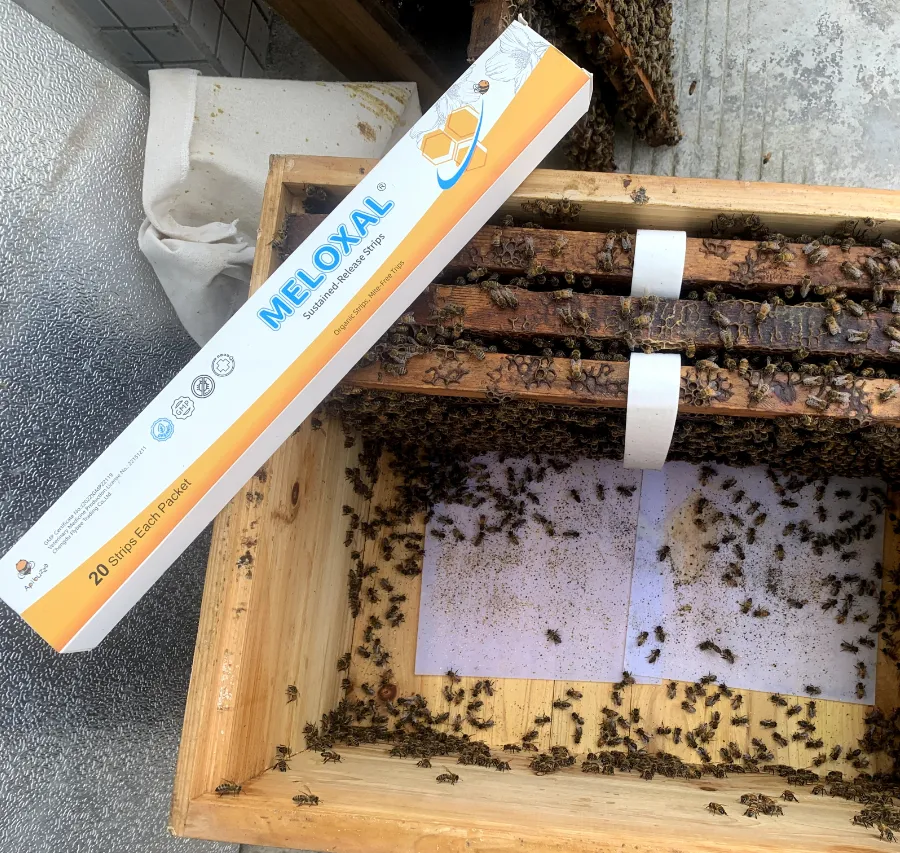 مكافحة العث أثناء تدفق رحيق العسل