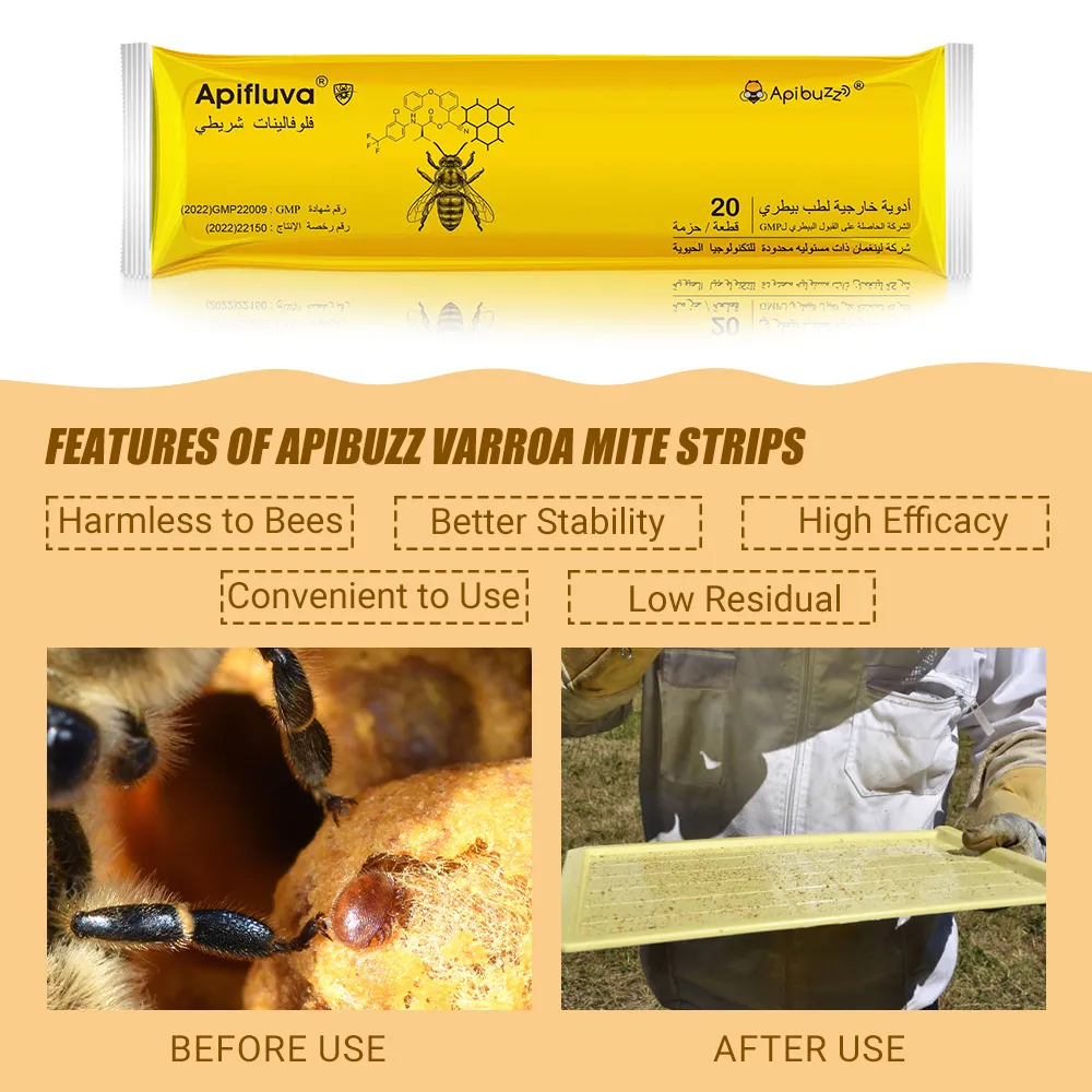 شرائط ابيفلوفا فلوفالينات عربية - 20 عبوة