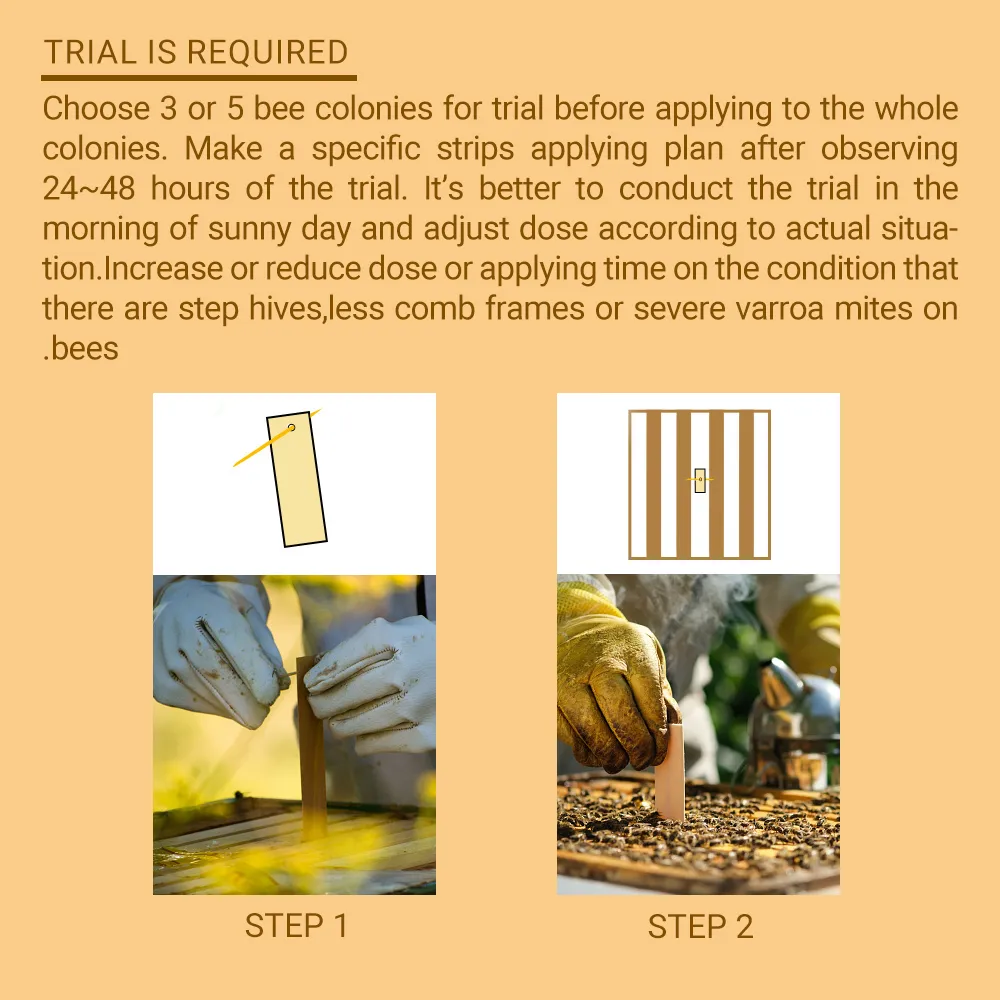 شرائط ابيفلوفا فلوفالينات عربية - 20 عبوة