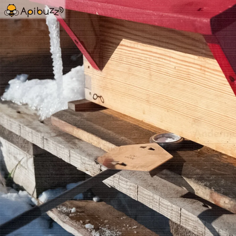 فاروكس حمض الأكساليك المرذاذ