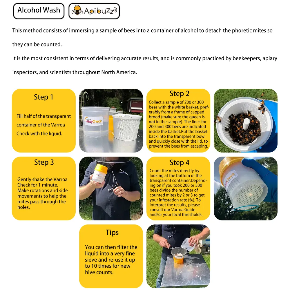 فحص سوس الفاروا بحثا عن الإصابة