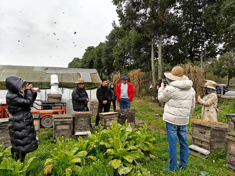 الموزع الروسي فيكتور يزور أبيبوز عن أشياء النحل