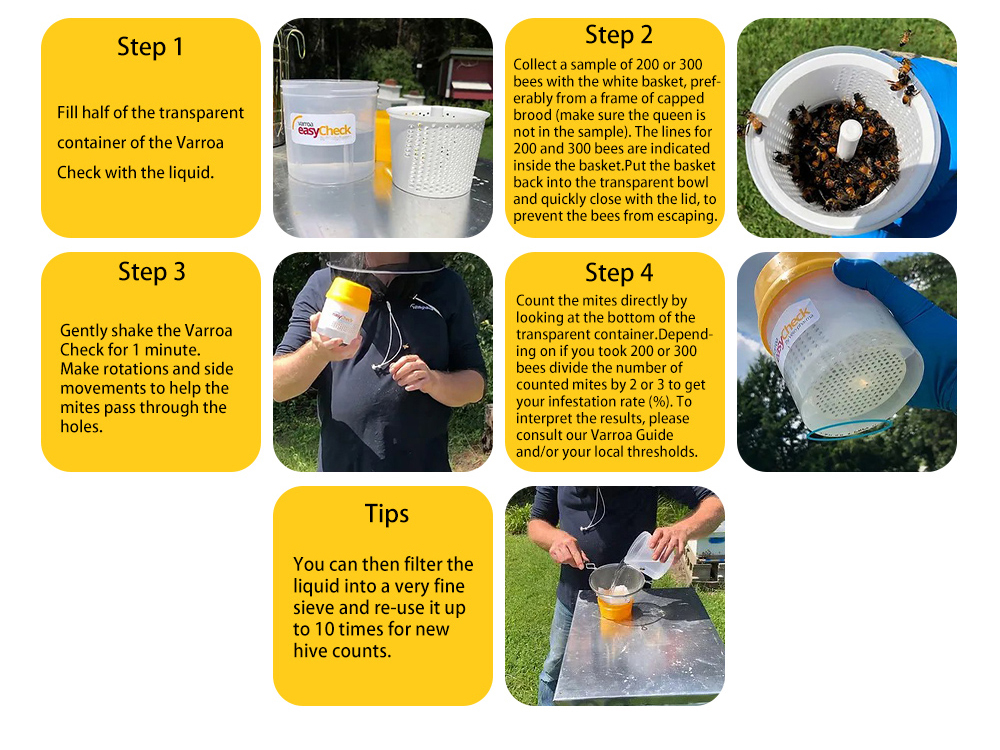 مراقبة معدل الإصابة بعث الفاروا