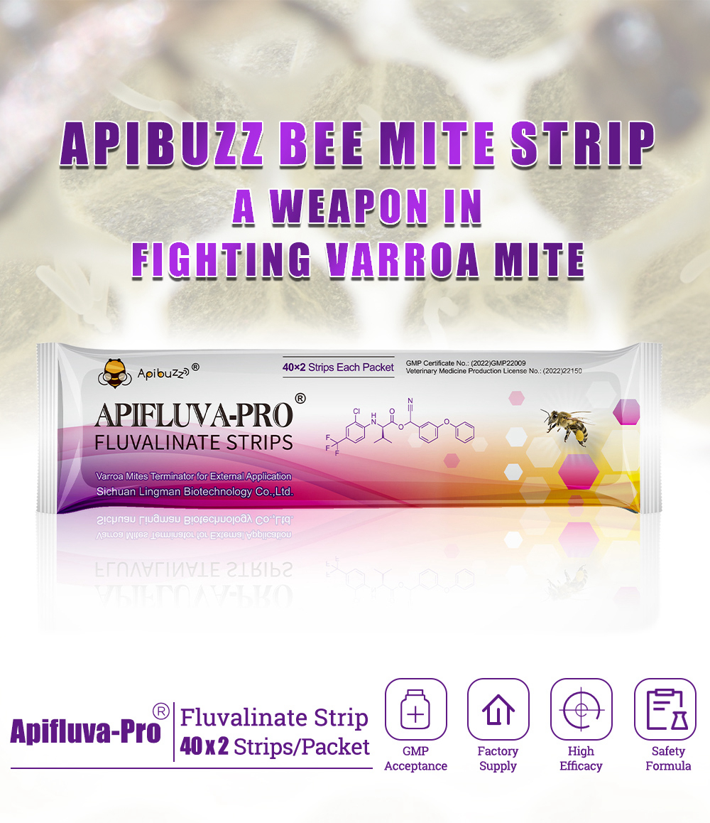 أبيفلوفا-برو فاروا شرائط