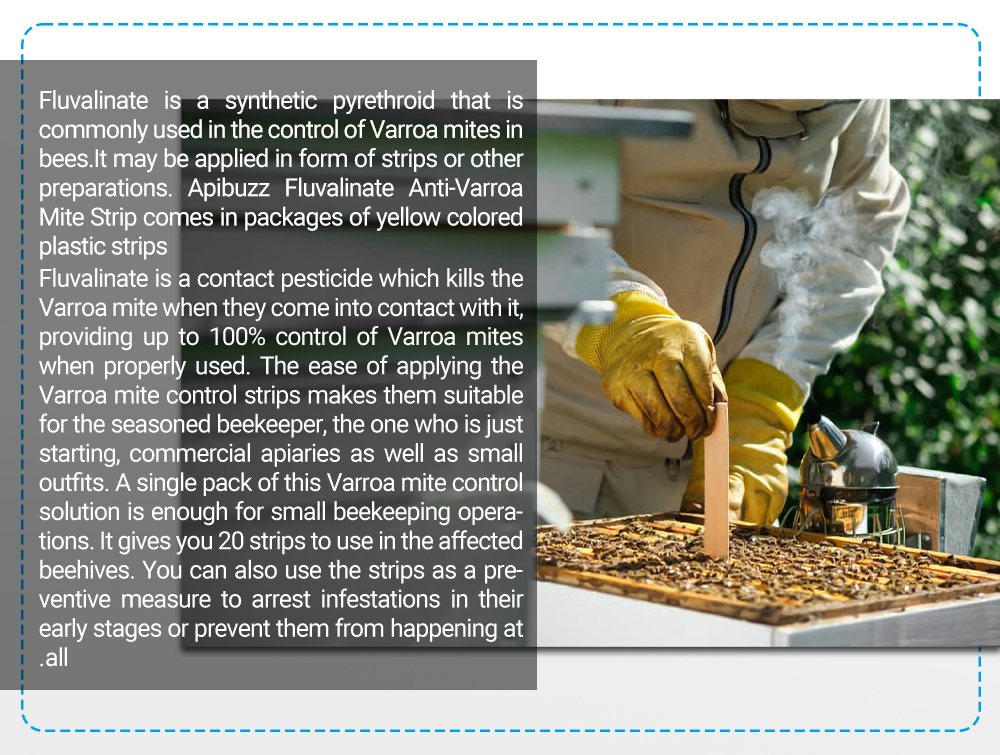 شرائط أبيفلوفا المضادة لعث النحل-عبوة 20 قطعة