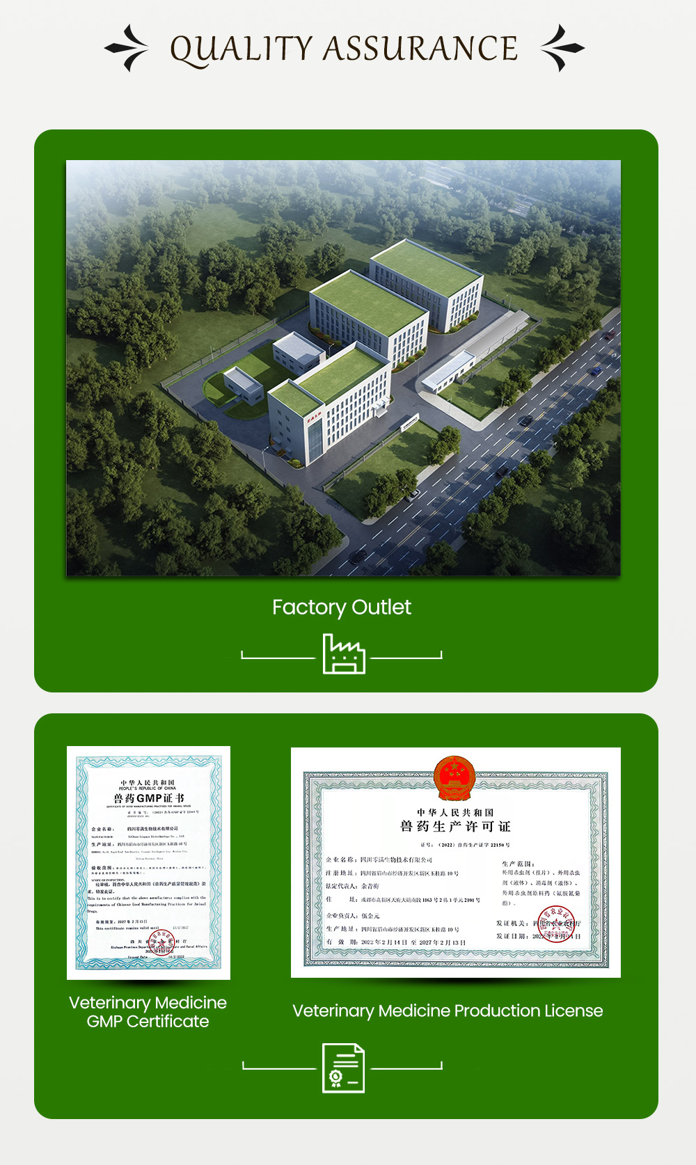 أبيثيمو ثيمول سوس العلاج