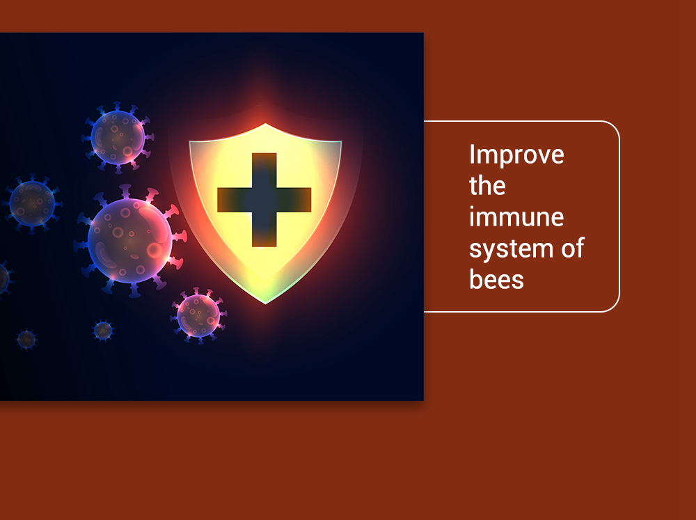 النحل-بيستي-المكملات الغذائية النحل الميكروبية