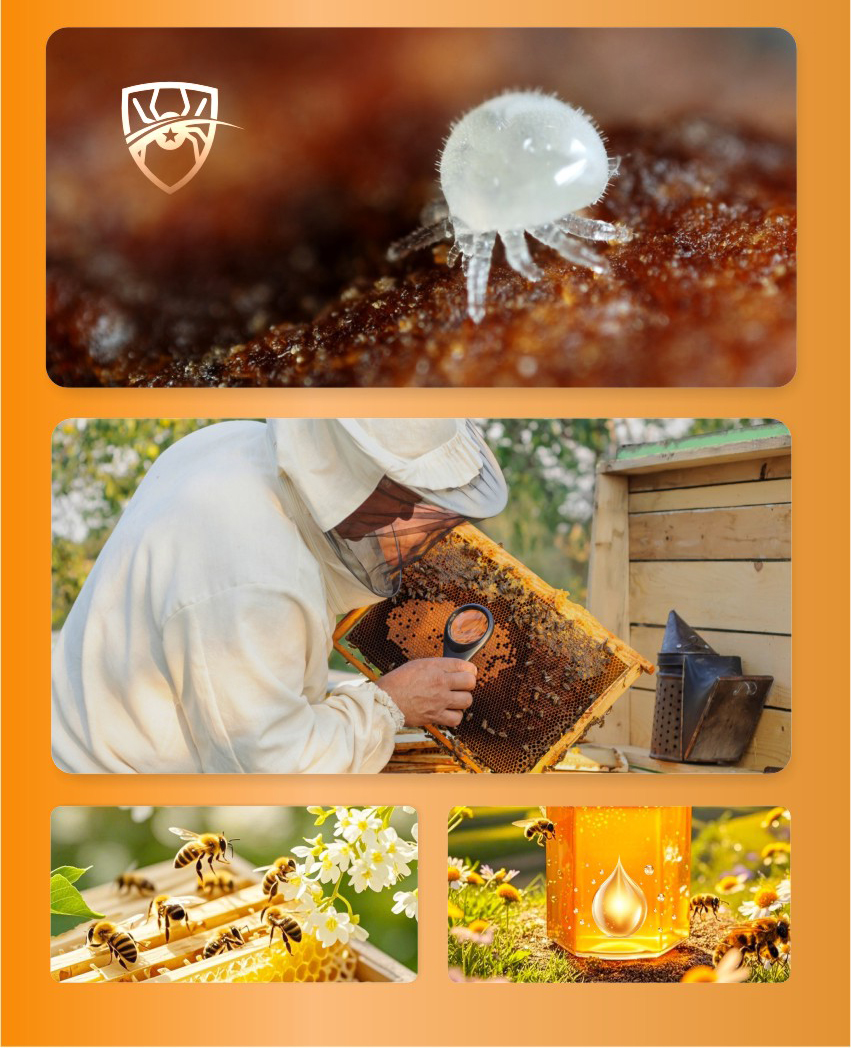 رذاذ حمض الفورميك المختلط للنحل