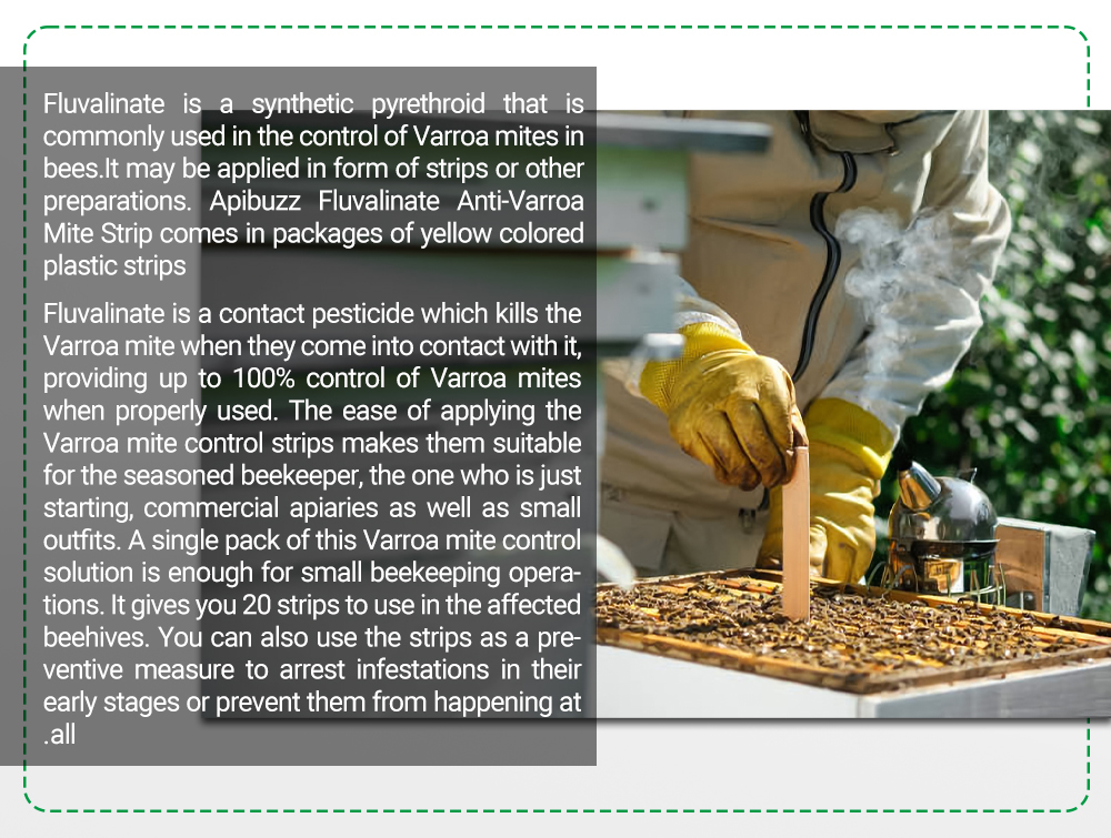 شرائط علاج عث النحل اللطيفة من إنز فلوفا شرائط علاج عث النحل اللطيفة من إنز فلوفا