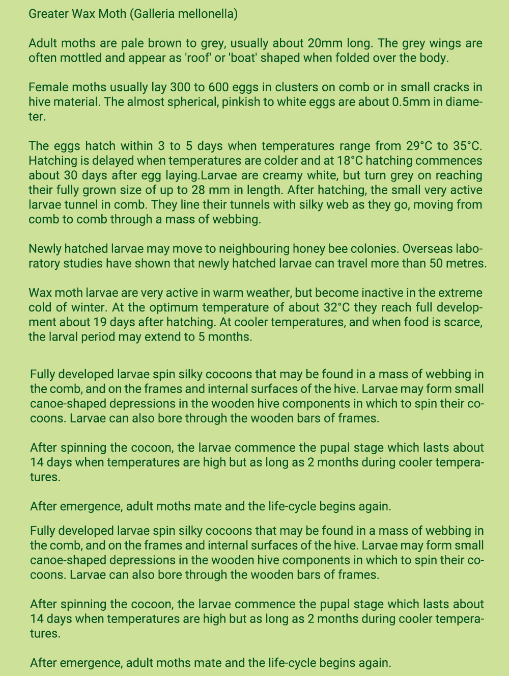 أبيبوز خلية الشمع العثة العلاج شرائط خشبية / 10 وحدة حزمة