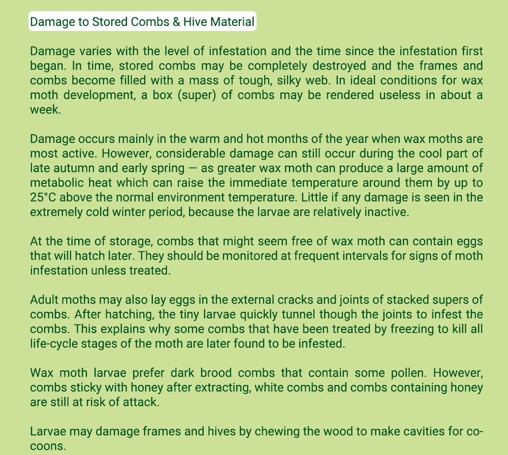 أبيبوز خلية الشمع العثة العلاج شرائط خشبية / 10 وحدة حزمة