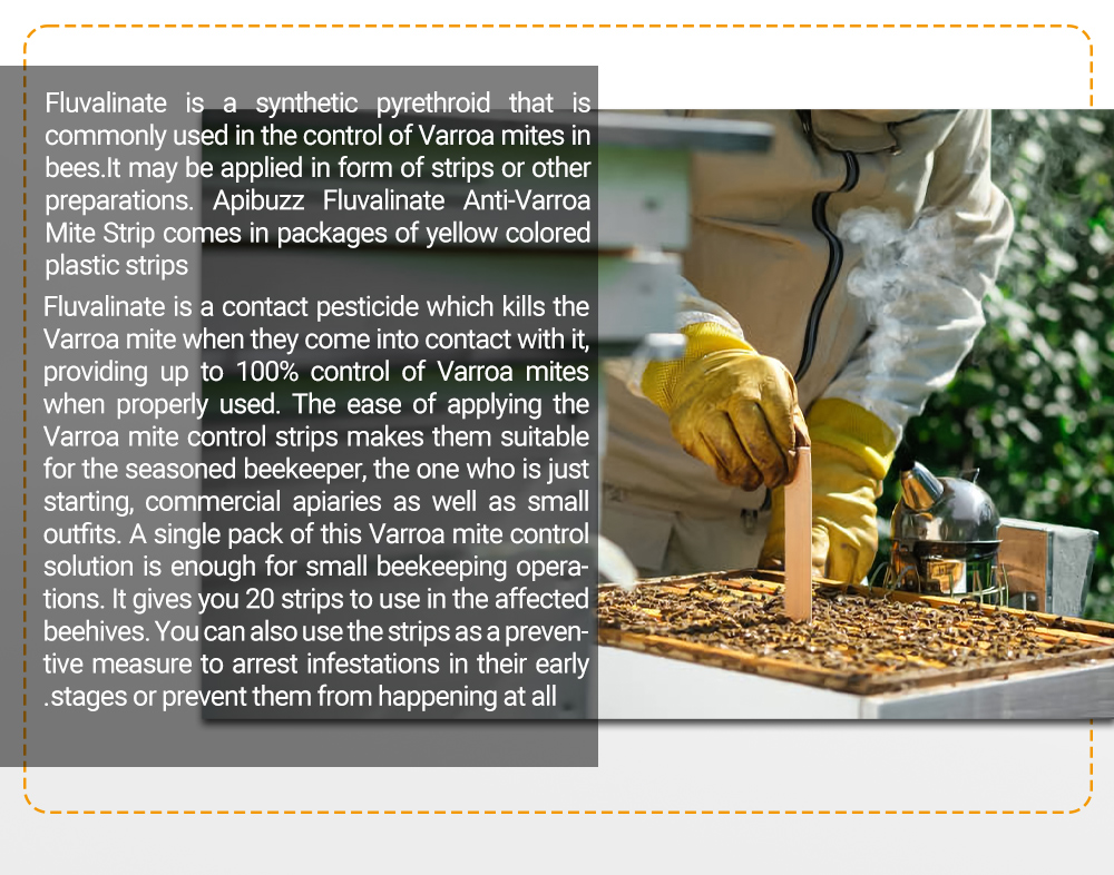 شرائط ابيفلوفا فلوفالينات عربية - 20 عبوة