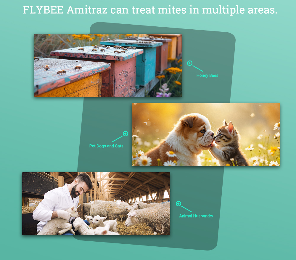 فلاي بي 1 لتر 12.5 ٪ إي سي أميتراز للنحل