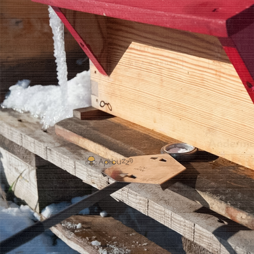 أدوات علاج سوس خلية النحل