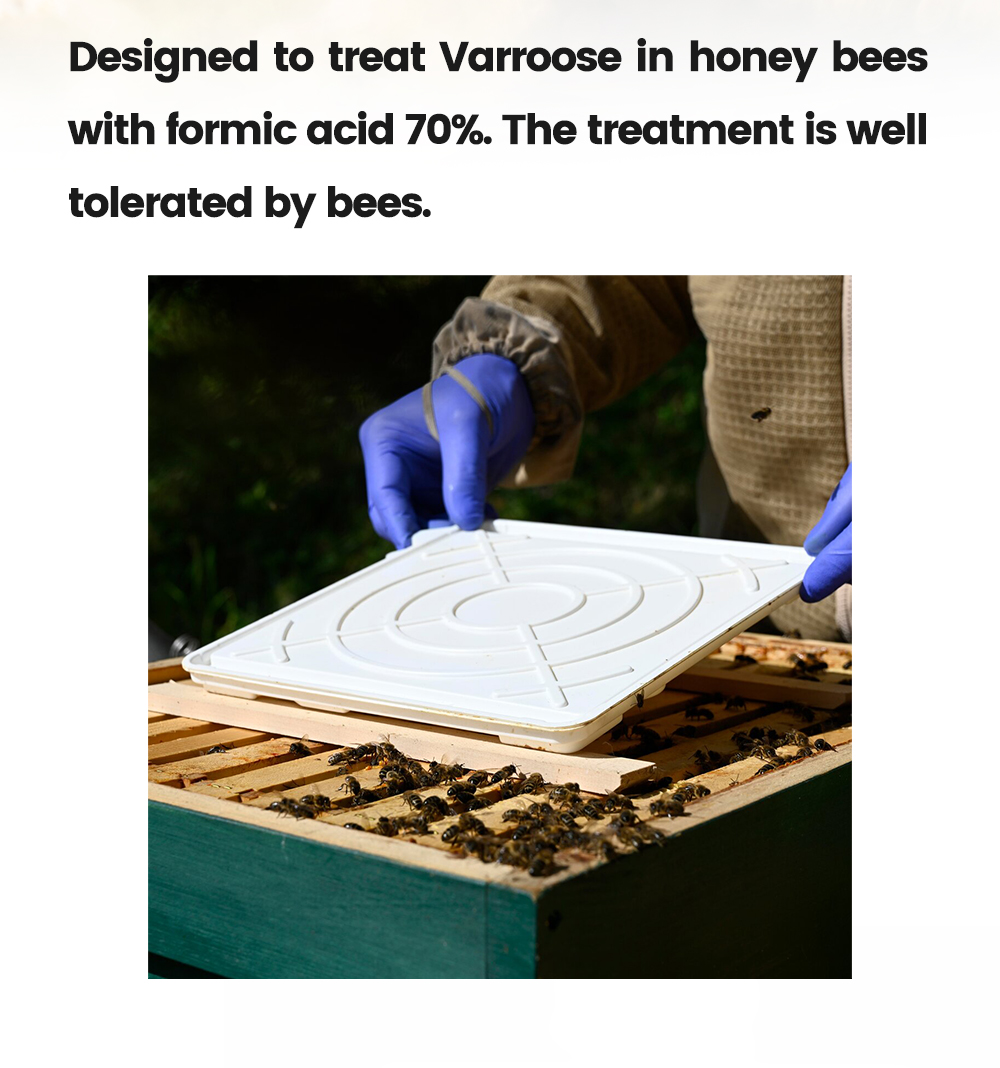 موزع فام موزع فام